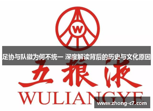 足协与队徽为何不统一 深度解读背后的历史与文化原因 足协与队徽为何不统一 深度解读背后的历史与文化原因