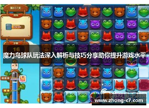 魔力鸟球队玩法深入解析与技巧分享助你提升游戏水平